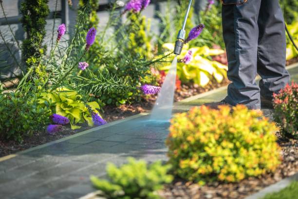 Best Post-Construction Pressure Washing  in Grissom Af, IN